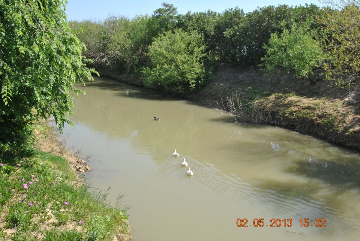 imagini hotel ASTERIA ELITA RESORT SIDE